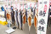 新巻鮭の立て看板があり、その横に内臓が取り除かれた鮭が干されている写真