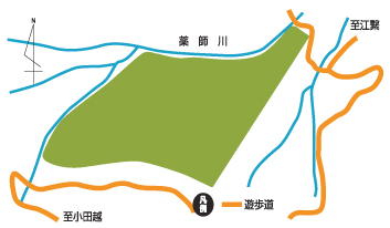 ヒバの林があるエリアとヒバの林の近くの遊歩道と林のそばを流れる薬師川が載った地図のイラストの画像