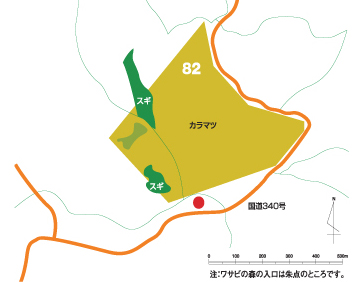 国道340号線の近くでカラマツが生えている範囲とワサビの森への入口が載った地図のイラストの画像