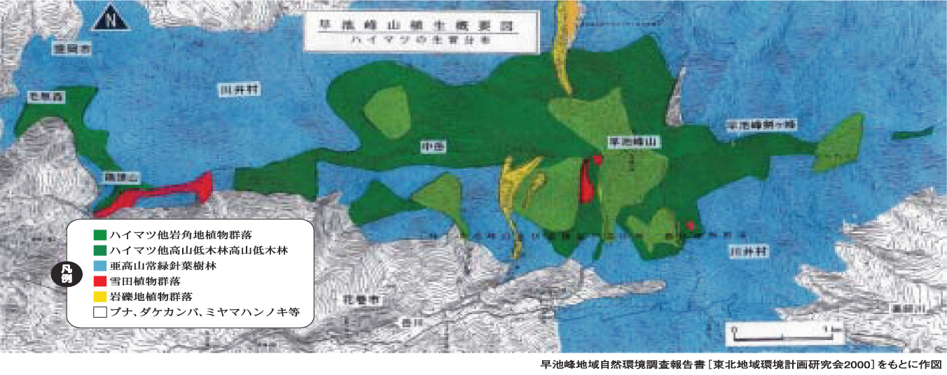 早池峰山植生概要図の地図イラスト