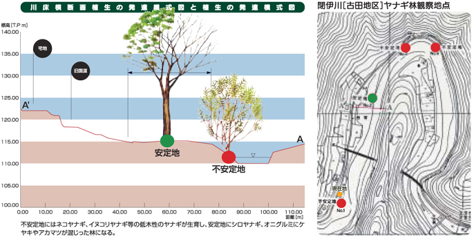 左:安定地と不安定地が描かれたイラスト、右:閉伊川のヤナギ林鑑定地点が赤丸で示された地図