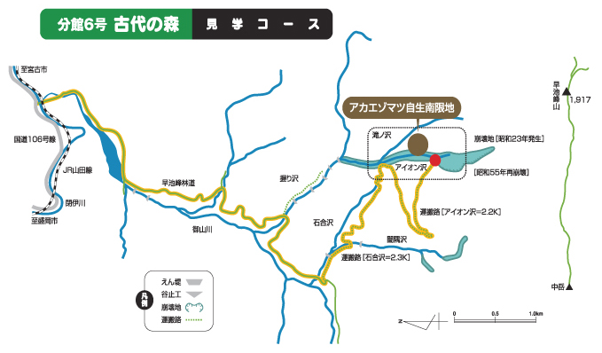 分館6号古代の森見学コースの地図