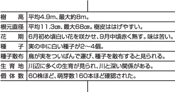 ハナヒョウタンボクの説明文の表