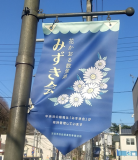 花かおる散策路事業で通りに飾り付けているペナントの写真