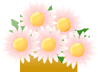 5輪のベビーピンク色の花のイラスト画像