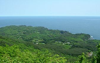 綺麗な緑と海を展望台から見た写真