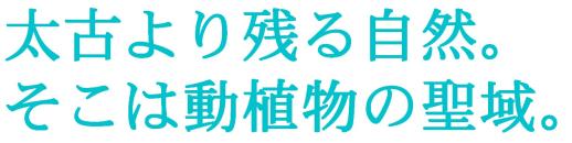 太古より残る自然。 そこは動植物の聖域。