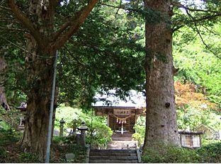 大きな2本の木の間から見える黒森神社を撮影した写真