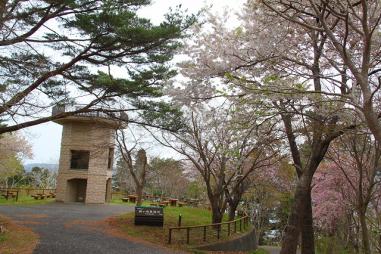 手前に桜の花の咲いた木があり、丸い形をした舘ヶ崎展望台の写真