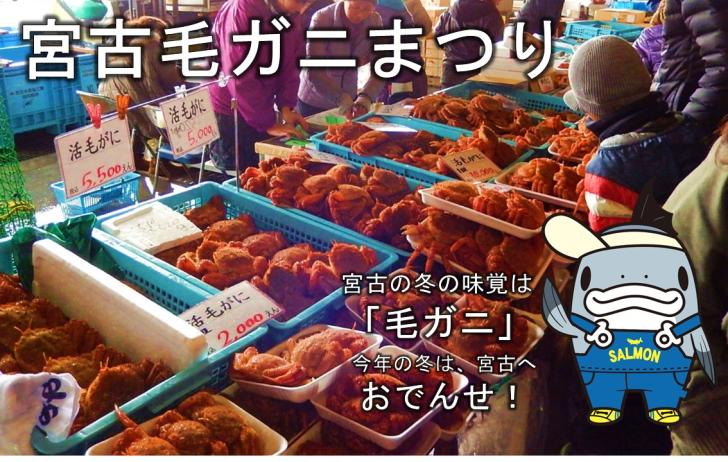 宮古毛ガニまつり 宮古の冬の味覚は「毛ガニ」今年の冬は、宮古へおでんせ!サーモン君のイラスト