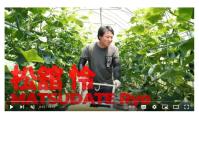 松館怜さんがビニールハウスの中で農作業を行っているYouTube動画のサムネイル画像