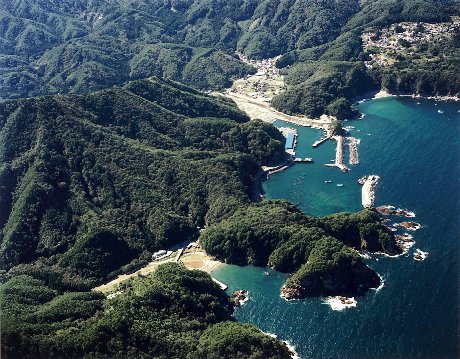 緑が広がる山々と、青々とした海の沿岸に映る重茂漁港を上空から見た写真