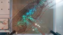 展示されている網状の物の中央に緑と青のイルミネーションが施されているのを撮影した写真