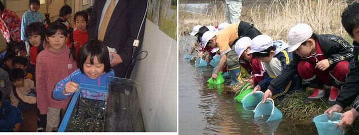 左:屋内で水槽をのぞき込む子どもと、その子供の後ろに並ぶ子どもたちの写真 右:子ども達が川べりにそって横一列に並んで座り、それぞれ持った小さなバケツに入った鮭の稚魚を川に放流している様子を写した写真