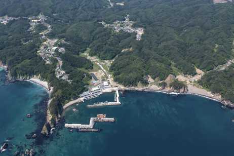 海に突き出た岬や大きくカーブした海岸と港、その奥に広がる木々や町を上空から見た写真