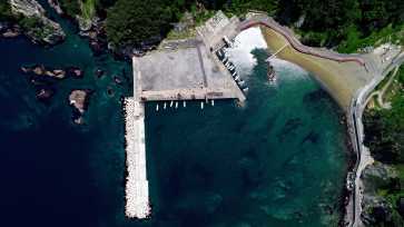 深みのある青い海と海に突き出す堤防がある小港漁港、そして海岸に茂る木々を上空から見た写真
