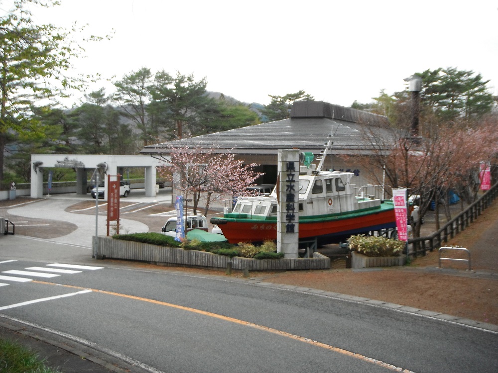 岩手県立水産科学館前入口に白地に緑のライン、下が赤色の船の模型が道路側から見える写真