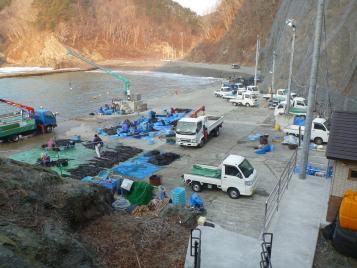 漁港で出漁準備や魚の陸揚げなど生産活動の作業をする人たちの様子の写真