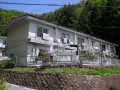 緑に囲まれ、坂道の横に建ってる2階建て長屋住宅の写真