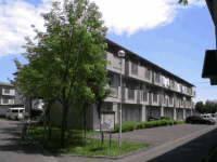 手前の一角に1本の木が立ち、案内看板や街灯が設置された3階建ての中里団地住宅1号棟の建物外観の写真