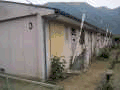一戸建て住宅が隣り合わせで並んでいる平屋建て長屋住宅を玄関側から撮影した写真