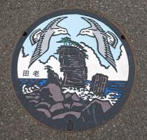 海が見える岩場の上に鳥が2匹飛んでいる様子が描かれているマンホールが歩道に設置されている写真