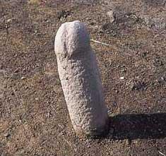 崎山貝塚内で発見された立ったままの細長く灰色をした石棒の写真