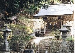 十段ほどの階段の上に神様をお参りする建物が大きな木に囲まれてひっそり建っている写真