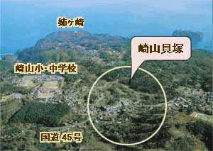 後方に姉ヶ崎、左側に崎山小・中学校そして手前に国道45号の間にある崎山貝塚を示した立地図の画像