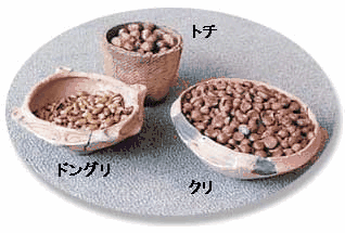 器に盛られた左から「ドングリ」「トチ」「クリ」の縄文人が食べていたとされる木の実の写真