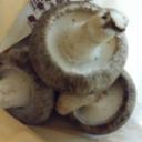 肉厚のしいたけが3つ重なって置かれいている写真