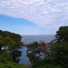 緑に染まった木々の間から広大な海が広がっている宮古湾の写真
