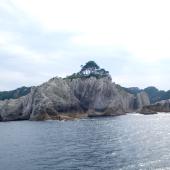 ごつごつした岩の上に大きな木が生えている景色を遊覧船から撮影した写真