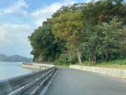 道路を挟んだ右側に木々が生い茂り、左側に穏やかな海が広がる宮古湾の写真