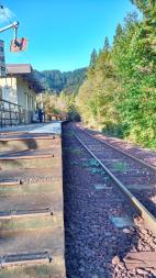 線路を挟んだ右側は木々が生い茂り、左側にホームがある佐羽根駅の写真