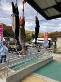 3匹の大きな魚が屋根から吊るされている祭り会場の様子の写真
