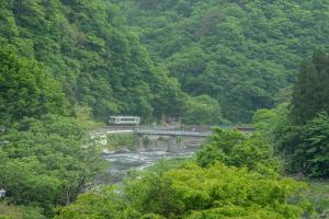 JR山田線が木々が生い茂っている山と、川に挟まれている狭い線路を走っている写真