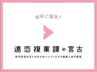 岩手に誕生! 遠恋複業課in宮古 岩手県宮古市とお付き合いしてくださる複業人材を募集