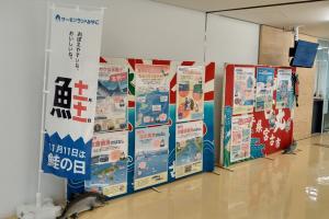 11月11日は鮭の日と書かれたのぼりや、2つの立て板に貼られた様々な鮭関連のポスターの写真