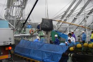 取れた魚を巨大な網状のものを使って、漁船からトラックへ水揚げしている写真