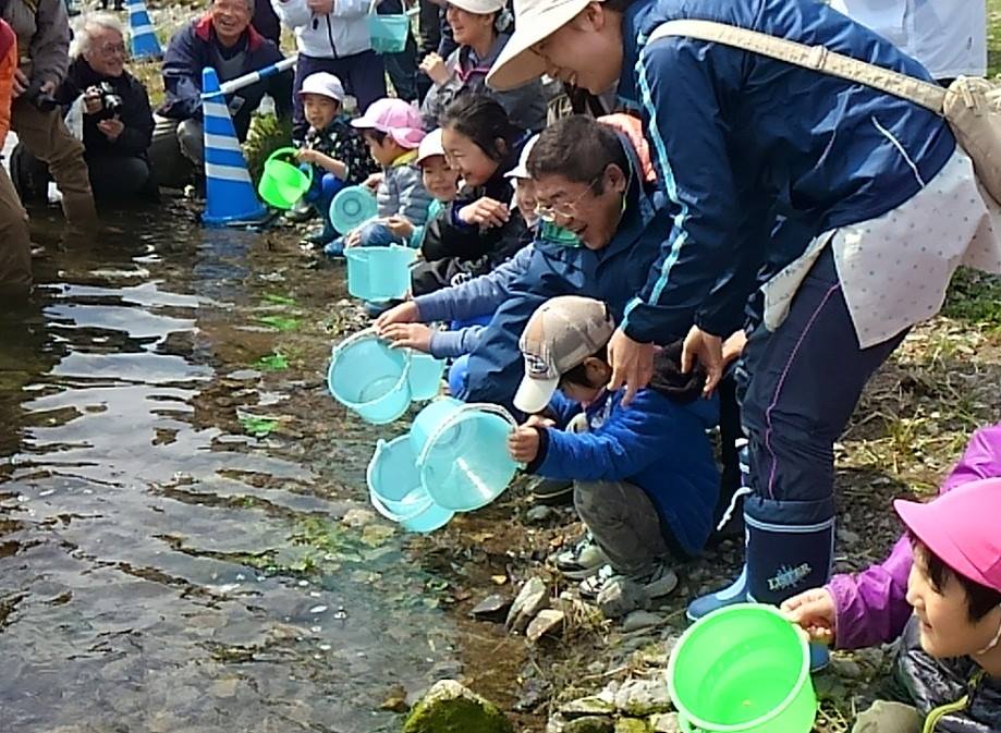 津軽石川の川沿いで市長と津軽石保育所の園児たちでバケツに入ったさけの稚魚を放流している写真