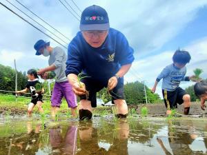 帽子を被り田植えをする市長と子供たちの写真