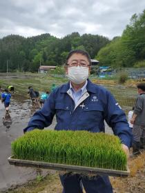 田んぼの前で市長が田植え用に育った苗が入った苗箱を両手で持っている写真