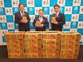 市長と他の職員2名がそれぞれパイナップルを持ち、その前に箱詰めのパイナップルが山積みに積み上げられている写真