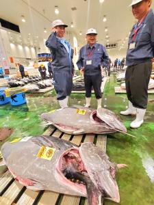市場の中でパレットに並べられたマグロを見る市長と2名の男性の写真