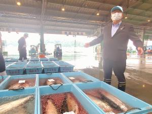 魚市場で宮古トラウトサーモンが入っている氷水が張られた青い箱の横に立ち両手を横に広げて立っている市長の写真