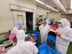 食肉加工の工場内で、はかりで重さを計測しパレットに食肉を並べている作業者の周りで、白色の防護服を着た市長や関係者が担当者から説明を受けている様子の写真
