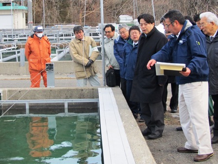 津軽石さけ稚魚ふ化場の飼育池前で、市長と林芳正農林水産大臣がおり、関係者が資料を手に持ちながら説明する様子の写真