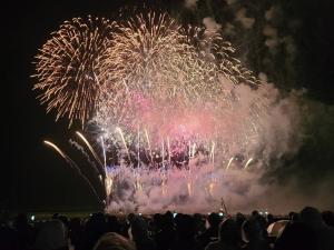夜空に広がる複数の大きな花火を写した写真