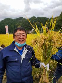 大野折壁地区の田んぼで紺色の作業服を着て、軍手をしている市長が、 刈り取った稲を左手で持っている写真